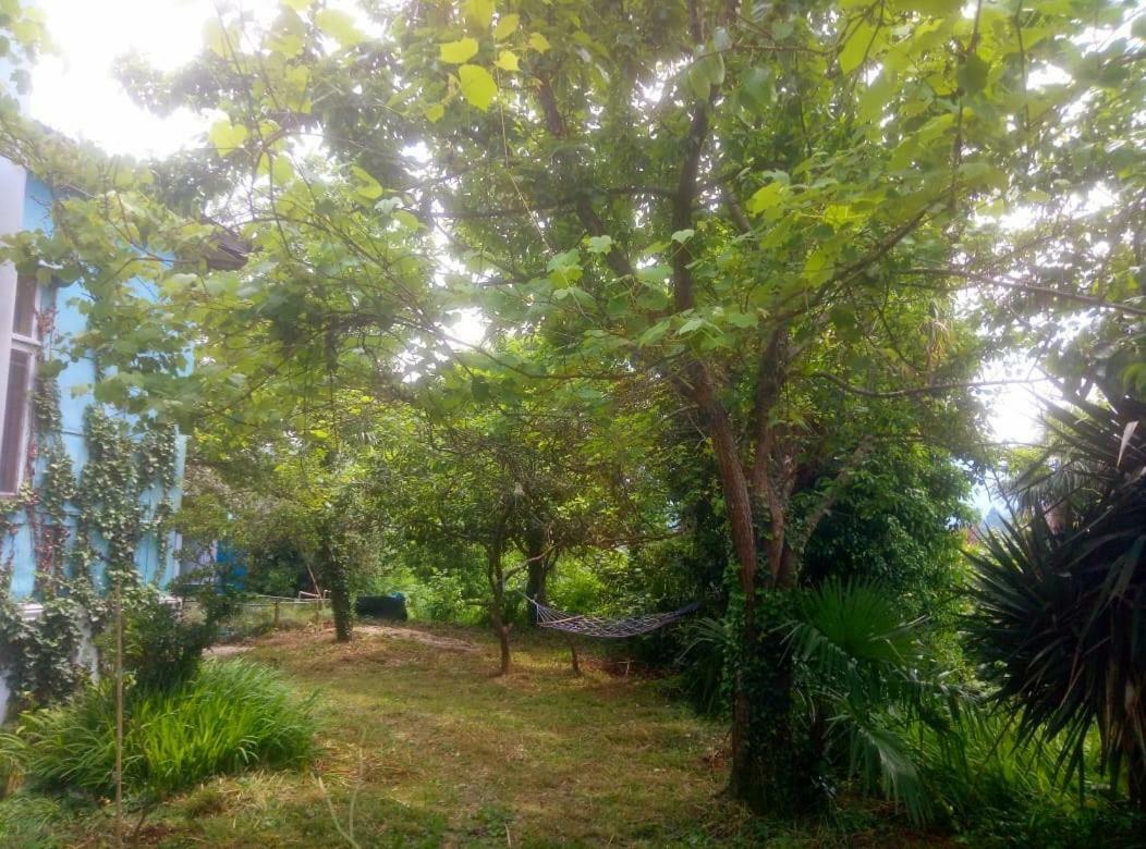 Guesthouse Eco Чакві Екстер'єр фото